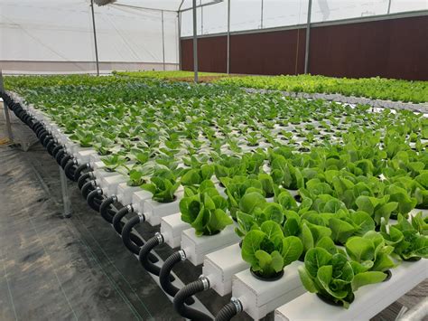 How To Build A Hydroponic System Kobo Building