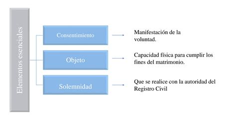 SOLUTION Conceptos B Sicos Introducci N Al Derecho Civil Mexicano