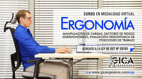 Curso de especialización Virtual Ergonomía