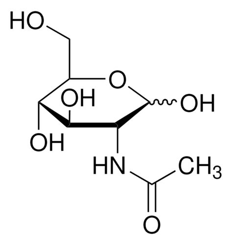 N Acetyl D Glucosamin Acetamid Desoxy D Glucose D Glcnac