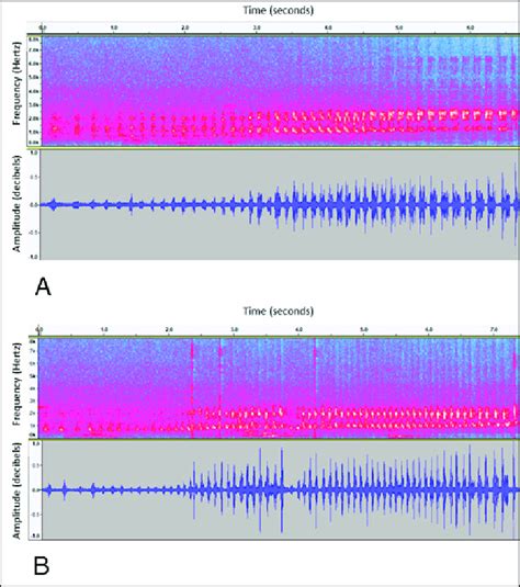 Spectrograms And Waveforms Of The Amplectant Call Of A Male A And Download Scientific Diagram