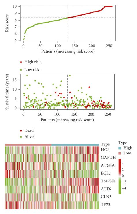 Construction And Validation Of Risk Signatures Of Eight Autophagy