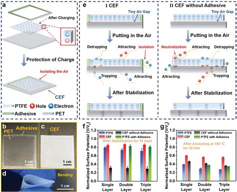 Structure And Charge Behaviors Of Composite Electret Film A Schematic