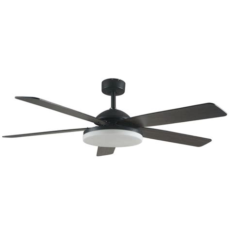 Best Rated Modern Ceiling Fans Shelly Lighting