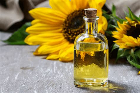 सूरजमुखी के तेल के फायदे और नुकसान Sunflower Oil Fayde Or Nuksan