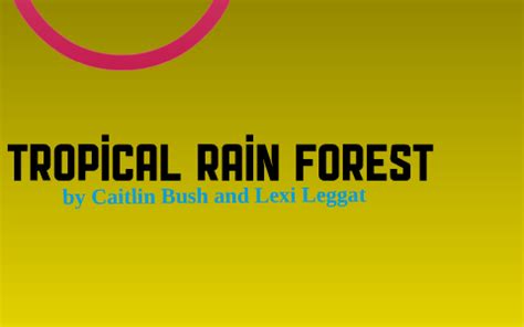 Tropical Rain Forest Biome By Caitlin Bush On Prezi