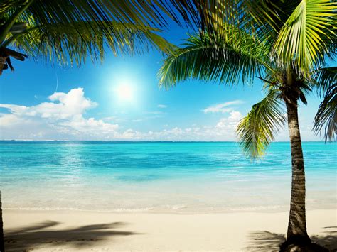 64K Ultra HD Summer Wallpapers - Top Free 64K Ultra HD Summer ...