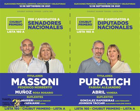 Chubut Todas Las Boletas De Los Precandidatos Camino A Las Paso