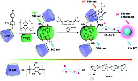 Supramolecular Assembly Confined Purely Organic Room Temperature