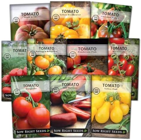 Amazon Tiny Tim Tomato Seeds Patio Tomato Dwarf Heirloom