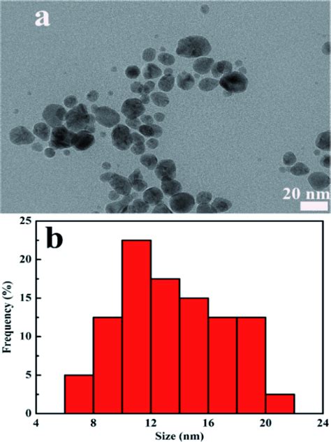 A Tem Image Of Cds Agnps Composite B Particle Size Distribution