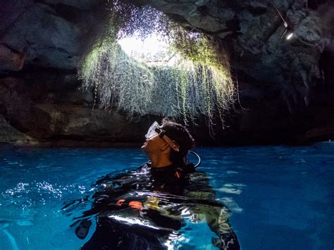 Scuba Diving Devil S Den Jason Daniel Shaw