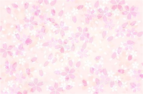 桜の花びら イラスト素材 [ 702432 ] フォトライブラリー Photolibrary