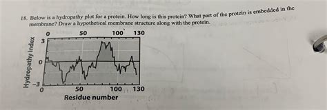 Solved Below Is A Hydropathy Plot For A Protein How Long Is Chegg