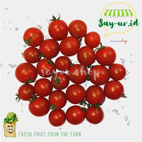 Jual Tomat Cherry Bulat Hidroponik 250 Gram Sayur Segar Organik