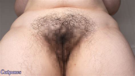 Catpaws Thrusting My Hairy Pussy At You ManyVids