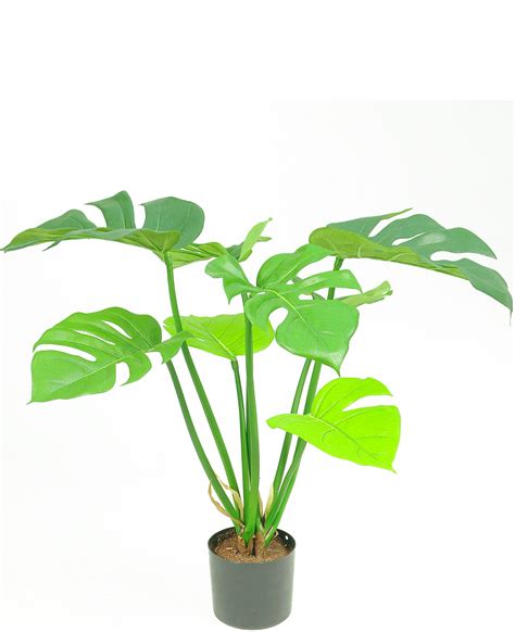 Kunstplant Monstera Deluxe 50 Cm Greenmoods