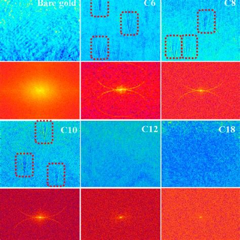 The reversible redox reaction of quinone/hydroquinone redox couple ... 