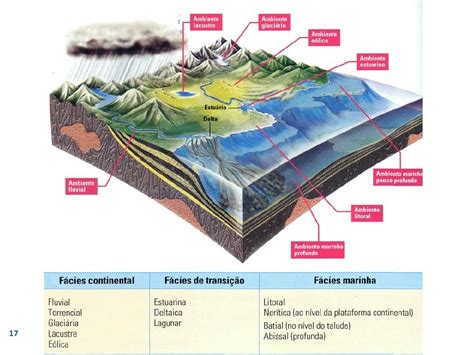 Geo Ambientes Sedimentares