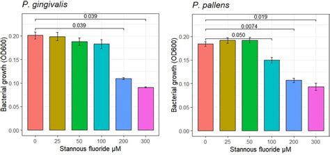 Frontiers Stannous Fluoride Forms Aggregates Between Outer And Inner