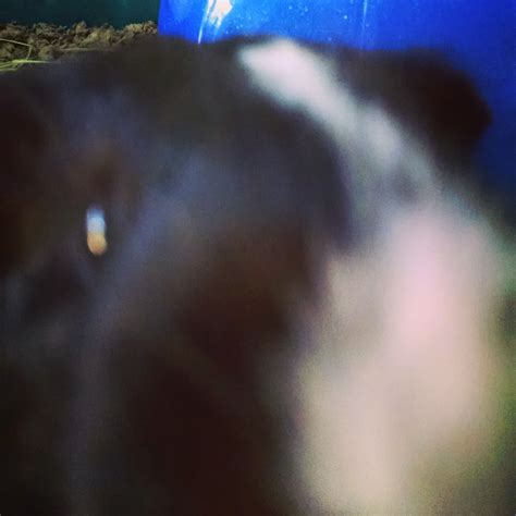 Bursa injections are hella weird - Not Standing Stills Disease