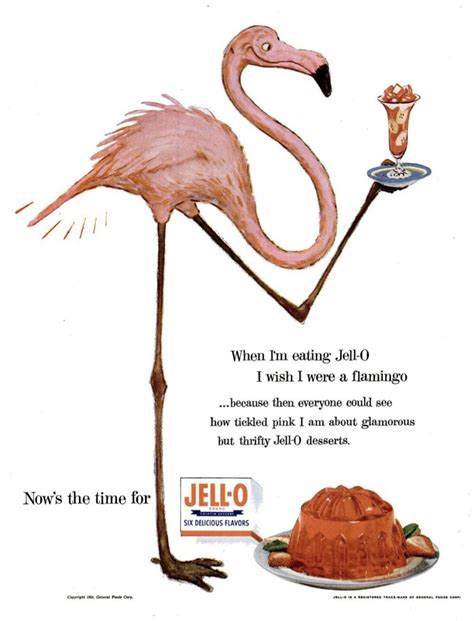 1954 Jello Advertisement Featuring A Kinda Weird Flamingo R Vintageads