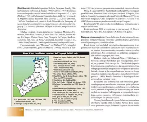 Los Mamíferos Silvestres De La Provincia De Misiones En Venta En San