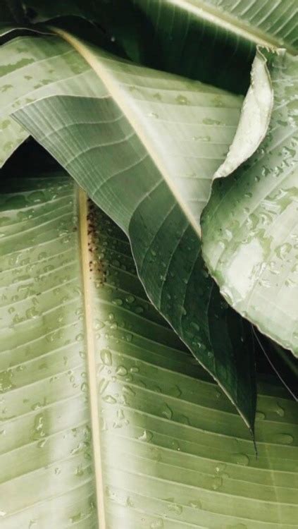 Milosci Nie Ma Jest Tylko Sex Tumblr Tumbex