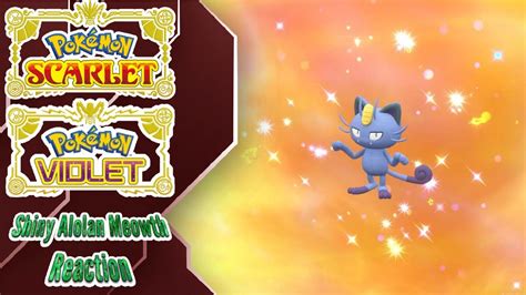 Shiny Alolan Meowth Evolution Pokemon Scarlet Violet YouTube