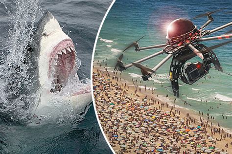 Drones To Hunt Sharks In Australia Beaches In Safety Drive Daily Star