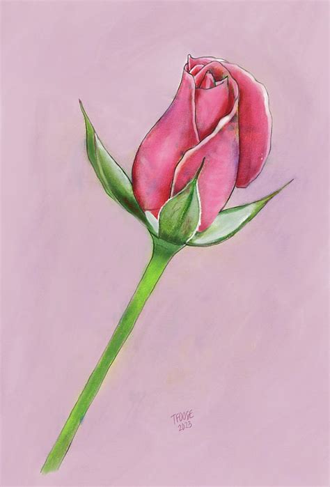 Pink Rose Bud Painting By Taphath Foose Fine Art America