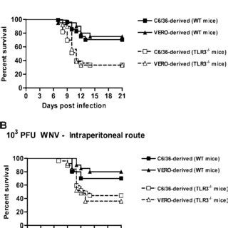 Survival Analysis Of Wild Type And TLR3 C57BL 6 Mice A And B