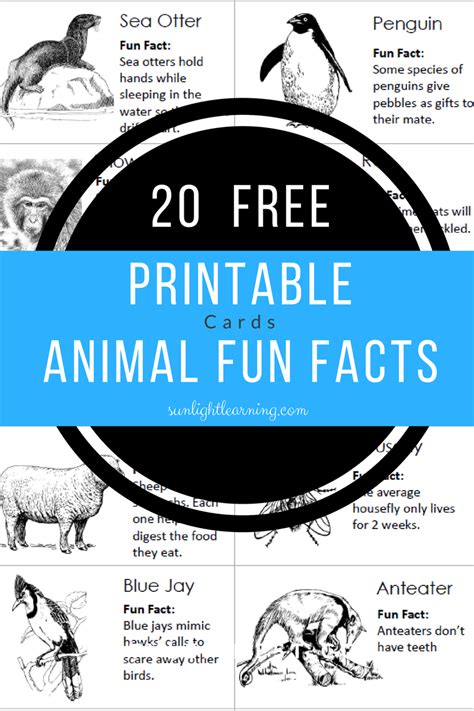 Free Animal Fun Facts Cards – Sunlight Learning