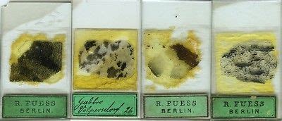 4 Petrographic Microscope Slides by R. Fuess -- Antique Price Guide ...