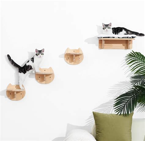 Amazon Wall Mounted Stairs For Cats Cat Wall Mounted Shelves