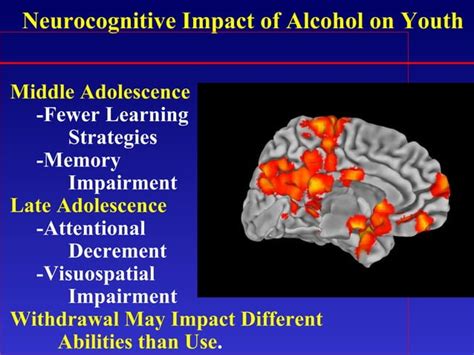 Alcohol And Adolescent Brain Development