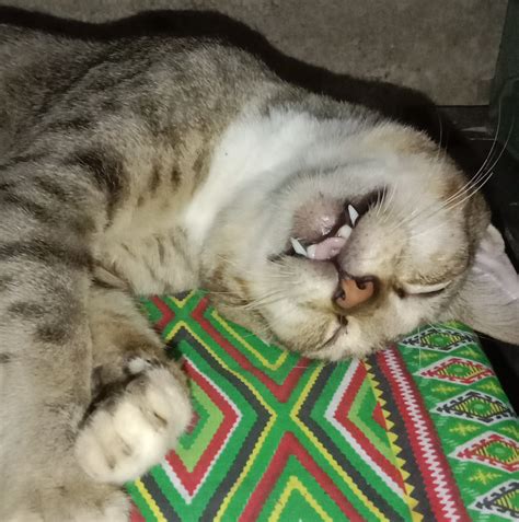 Magic Magy - Support me in my Onlyfans too.... | Facebook