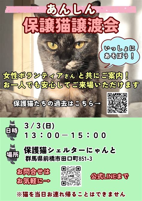 「あんしん保護猫譲渡会」（保護猫シェルターにゃんとのイベント 21785） ペットのおうち【里親決定28万頭！】