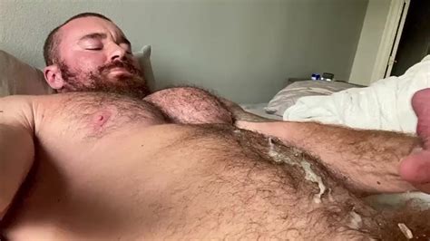 Hairy Bear Jerking And Cumming