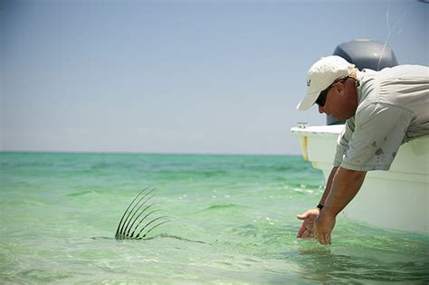 Mexico–Baja California Sur: “Fifty More Places To Fly Fish Before You ...