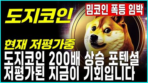 도지코인 전망 저평가된 코인 도지코인 200배 상승 포텐셜 지금이 기회입니다 밈코인 폭등 임박 Youtube