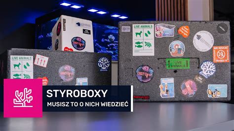 84 STYROBOXY Wszystko co musisz wiedzieć na temat opakowań do