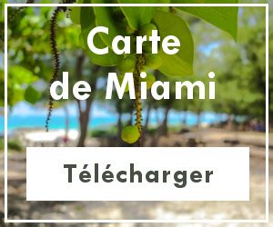 Carte Guide De Miami Par Tripee Fr