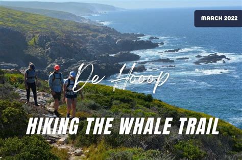 The Whale Trail (De Hoop Nature Reserve) - Capenature