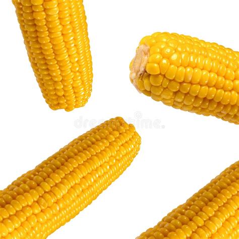 Sweet Corns Isolated Stock Image Image Of Nutrition 61790739