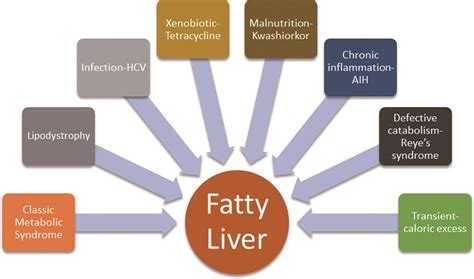 Nonalcoholic Fatty Liver Disease Nafld Name Change Requiem Or Reveille