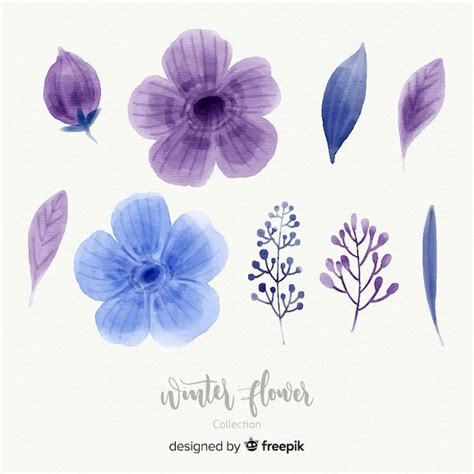 Colección de flores de invierno en acuarela Vector Gratis