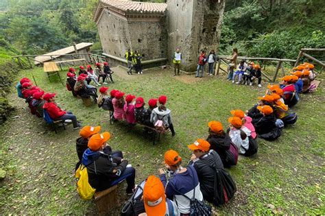 Lamezia Alunni Della Scuola Primaria Don Bosco In Visita AllAntico