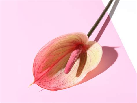 Yes Its Okay To Want More Oral Sex Heres How To Ask For It SELF