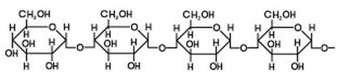 Iodine Test for Starch - Brilliant Biology Student